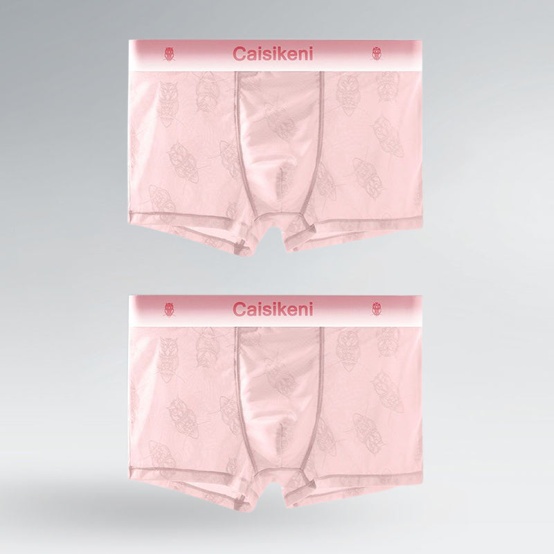 Men's Lightweight and Breathable Lace Boxer Briefs